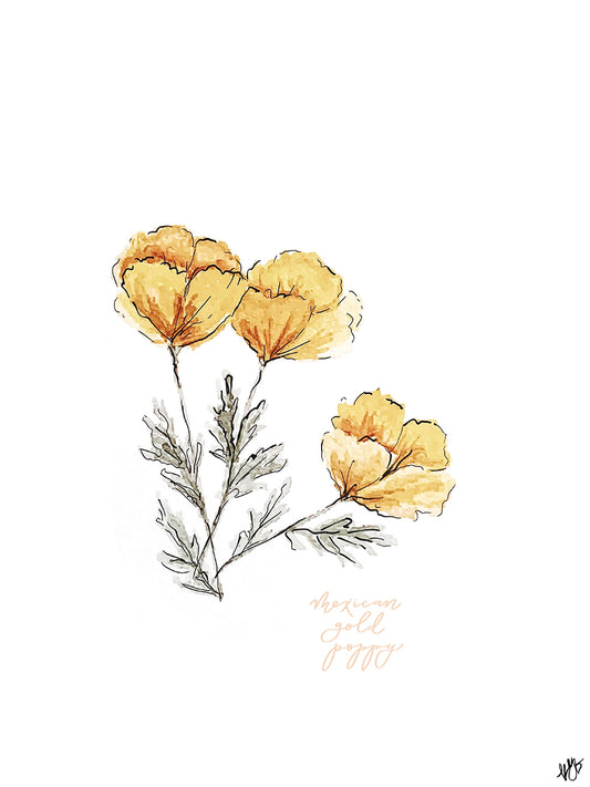 Mexican Gold Poppy