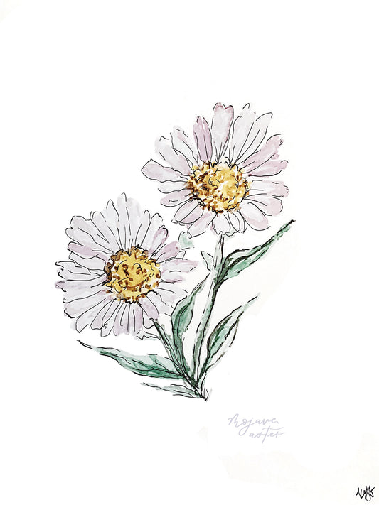 Mojave Aster