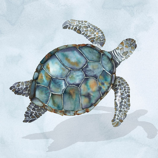 Blue Sea Turtle I