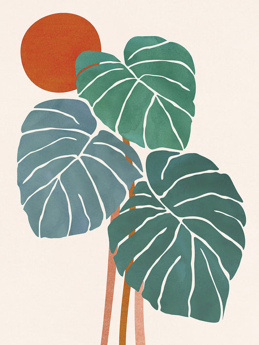 Monstera and Sunshine