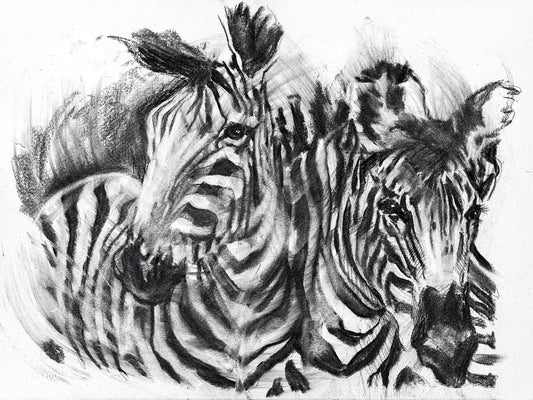 Zebras