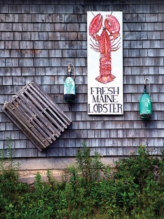 Fresh Maine Lobster