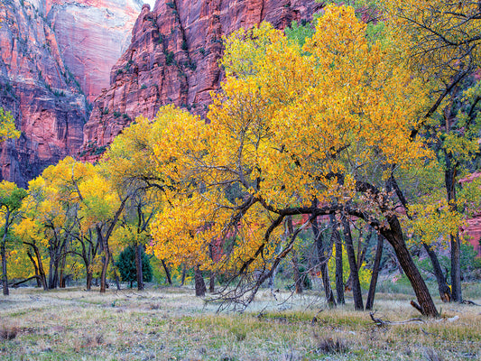 Autumn at the Grotto