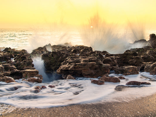 Morning at Coral Cove