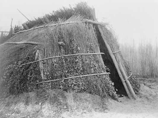 Chemehuevi house