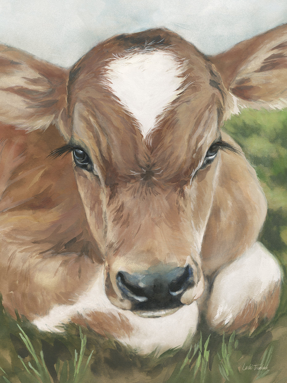 Leslie Trimbach's Gentle Calf Face Canvas Art Prints | Fine Art Canvas ...